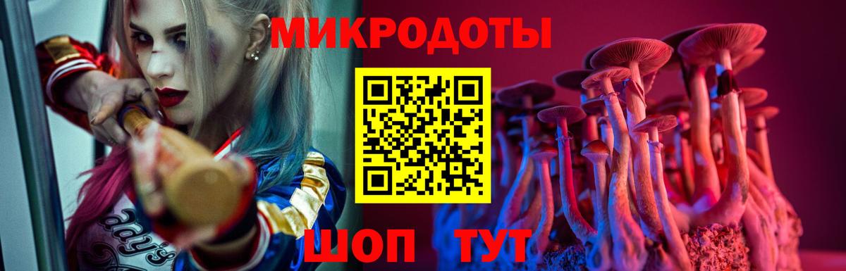 Псилоцибиновые грибы Psilocybe Югорск